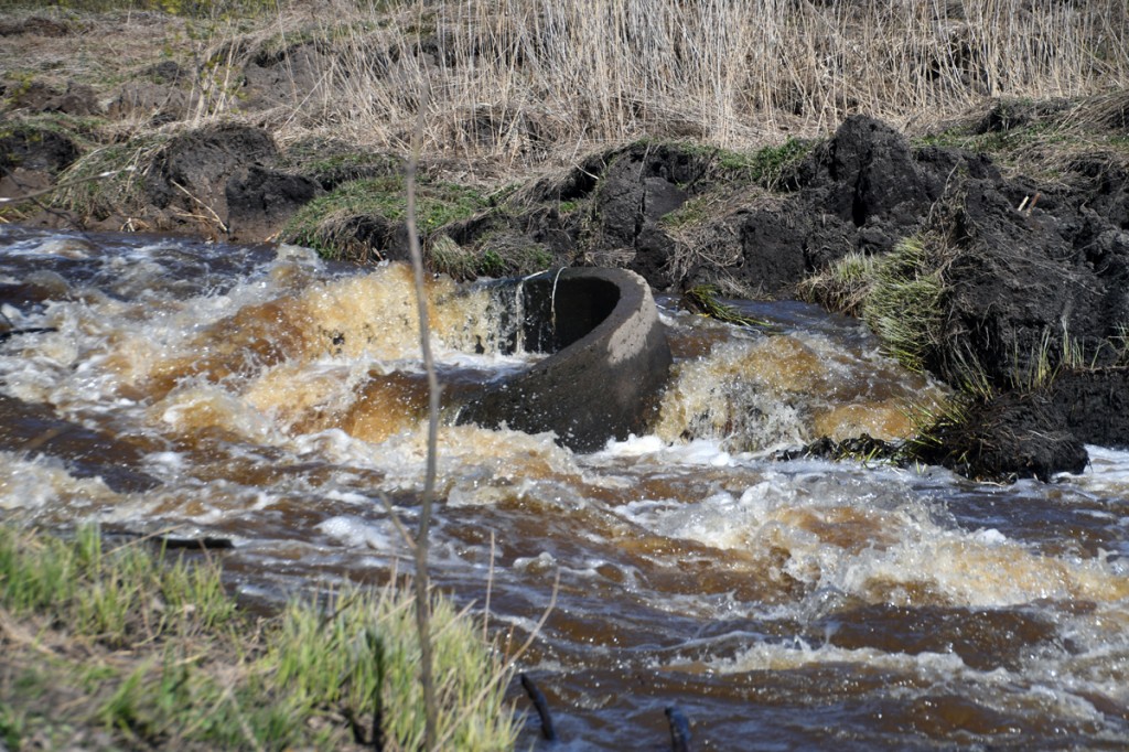 Maalihe sulges viivuks Sauga jõe, millest tõusuvesi kiiresti uuesti läbi murdis Foto Urmas Saard