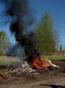 Prügist, mida põletame lõkkes, tekivad ohtlikud ained, mida hingavad sisse inimesed ja loomad.
