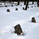 Pärnus Alevi kalmistul Vabadussõjas langenute kalmudel süüdatud küünlad Foto Urmas Saard
