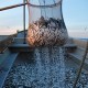 Serbaku abil tõstetakse räimed kakuami kastist laevale Foto Urmas Saard
