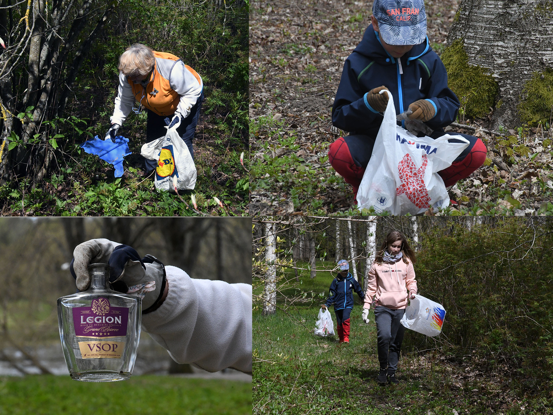Sirje Soovik puhastab lastega Sindi parki. Fotod: Urmas Saard  / Külauudised