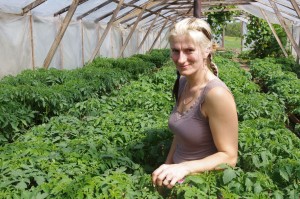 Trolla Jaana kasvatas 30 eri sorti tomatitaimi. Harju Ülle pilt.