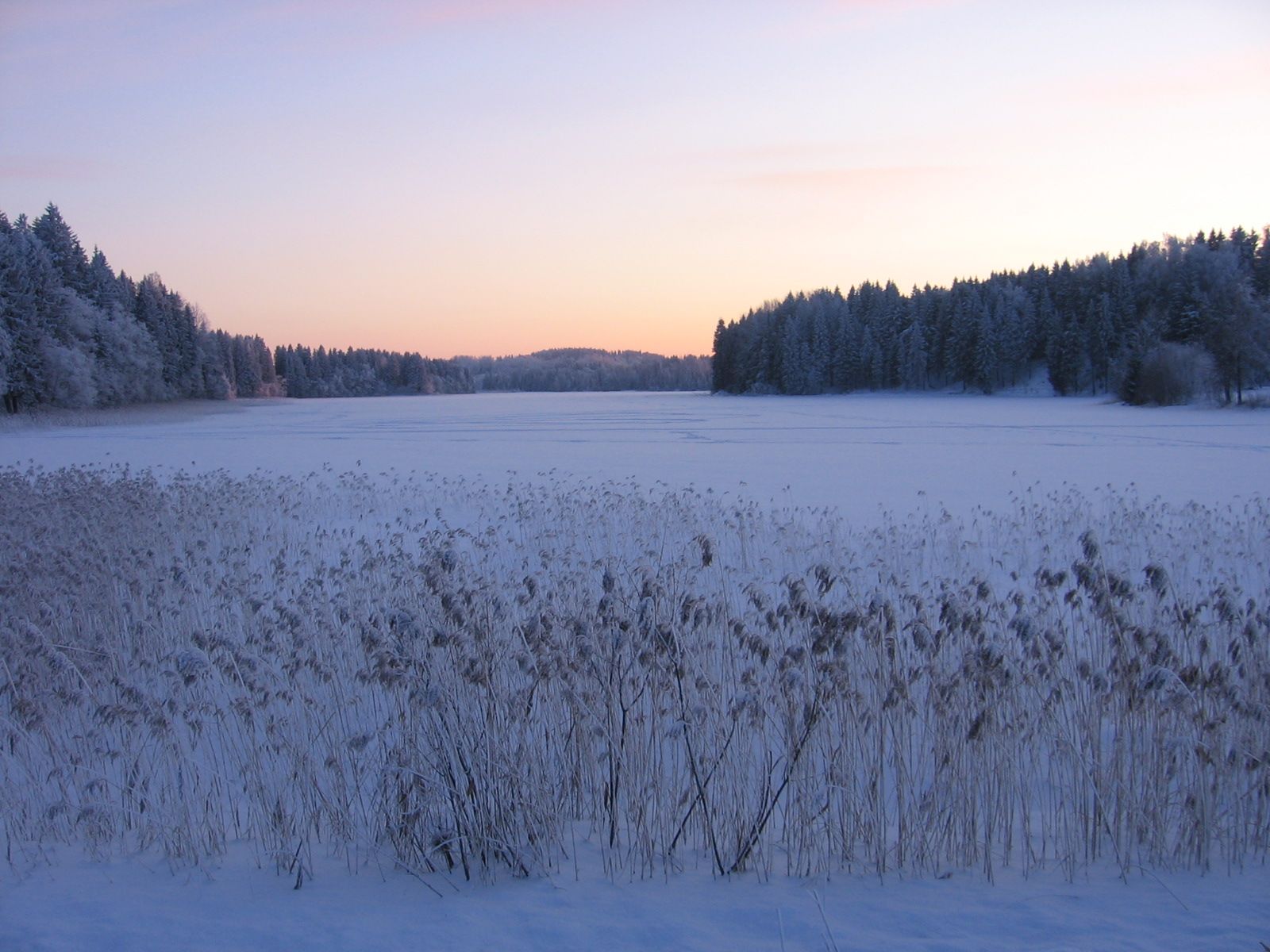 Vaskna järv. Foto: Erkki Peetsalu