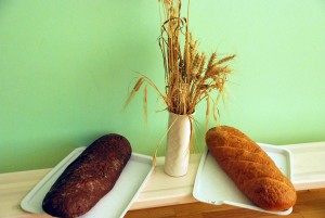 Viljapead, mille teradest valmivad leib ja sai Foto Urmas Saard
