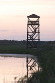 Räpina linnuvaatlustorn