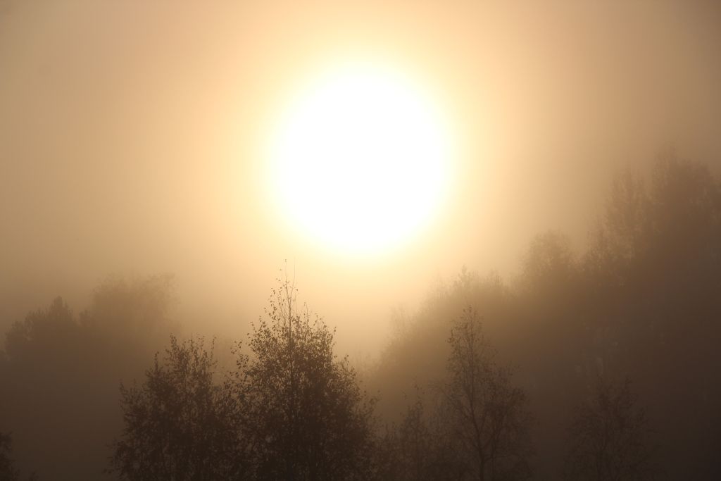 Uusaasta päike ärkab udust. Foto: Kylauudis.ee